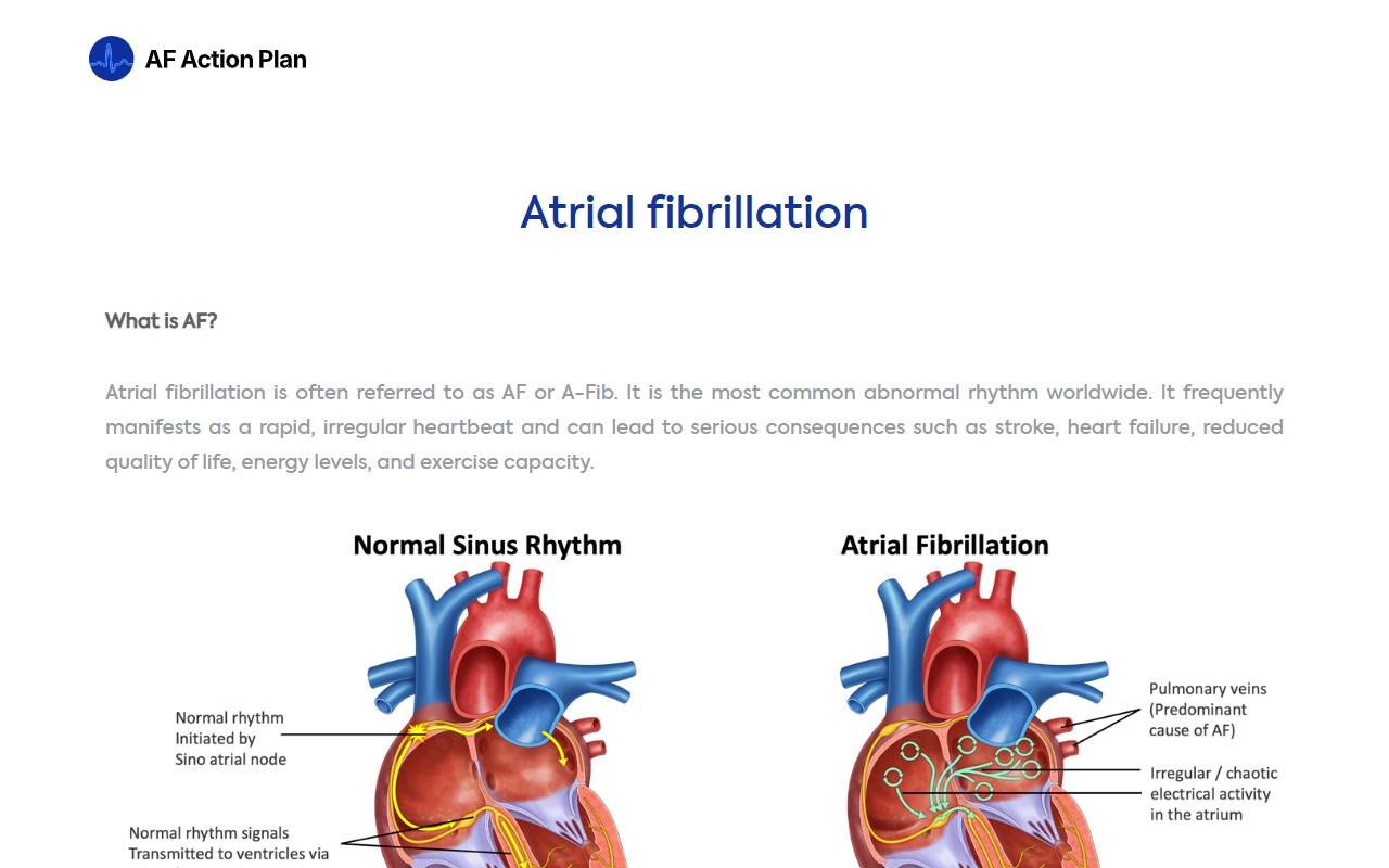 AF Action Plan website by Techavinya